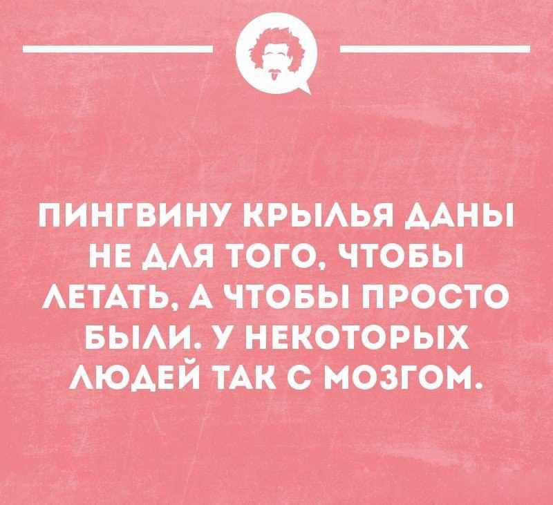 д МЦ ММЁЙЩ