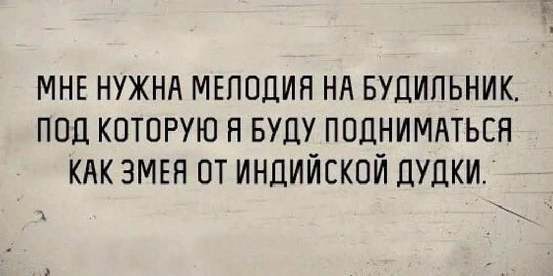 МНЕ НУЖНА МЕЛОДИЯ НА БУДИЛЬНИК ПОД КОТОРУЮ Я БУДУ ПОДНИМАТЬСЯ КАК ЗМЕЯ ОТ ИНДИЙСКОЙ ДУДКИ