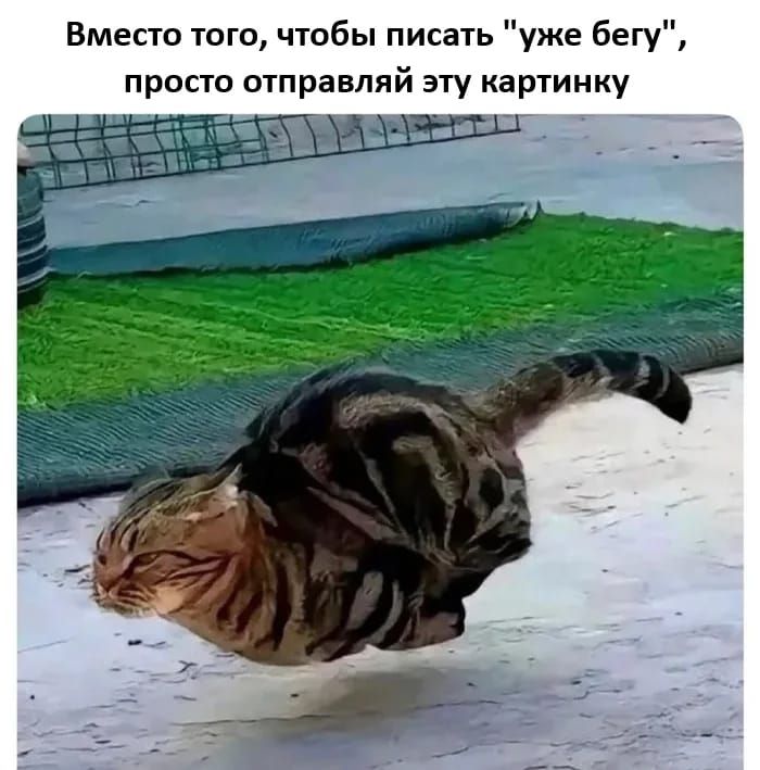 Вместо того, чтобы писать 