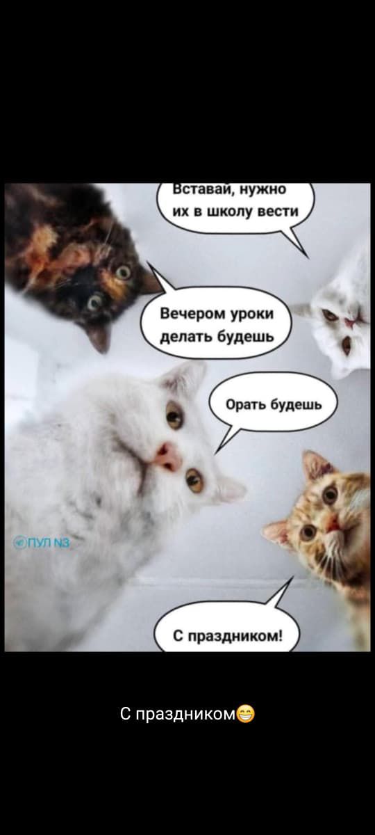 Вставвай, нужно их в школу вести
Вечером уроки делать будешь
Орать будешь
С праздником!