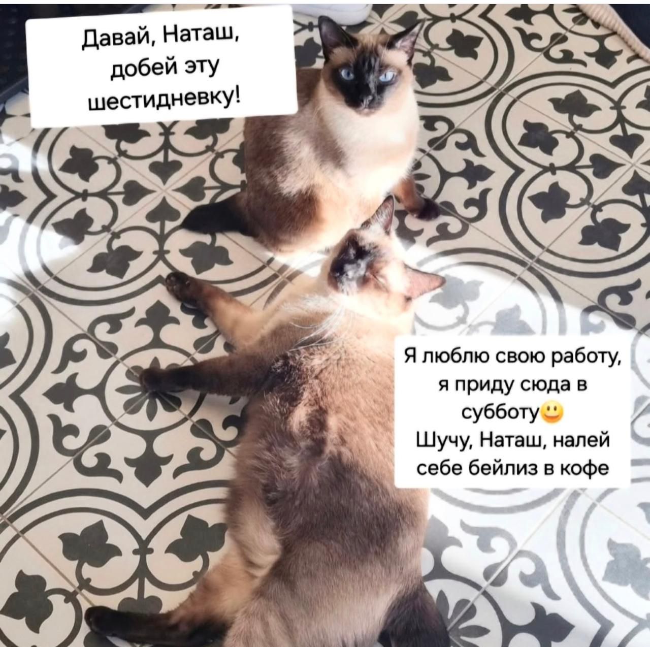 Давай, Наташ, добей эту шестидневку! Я люблю свою работу, я приду сюда в субботу 😬 Шучу, Наташ, налей себе бейлис в кофе