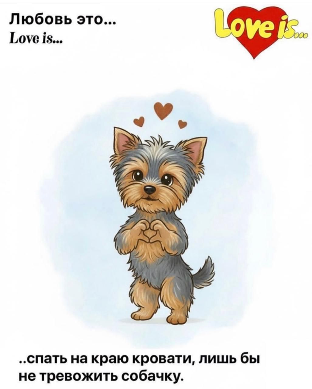Любовь это... Love is... ..спать на краю кровати, лишь бы не тревожить собачку.