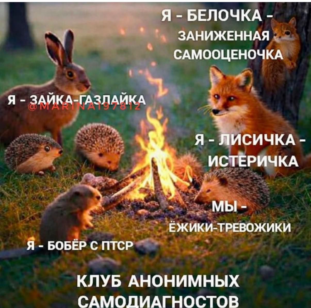 Я - Белочка - заниженная самооценочка
Я - Зайка-гадзайка
Я - Лисичка - истеричка
Мы - ёжики-тревожики
Я - Бобер с ПТСр
Клуб анонимных самодиагностов