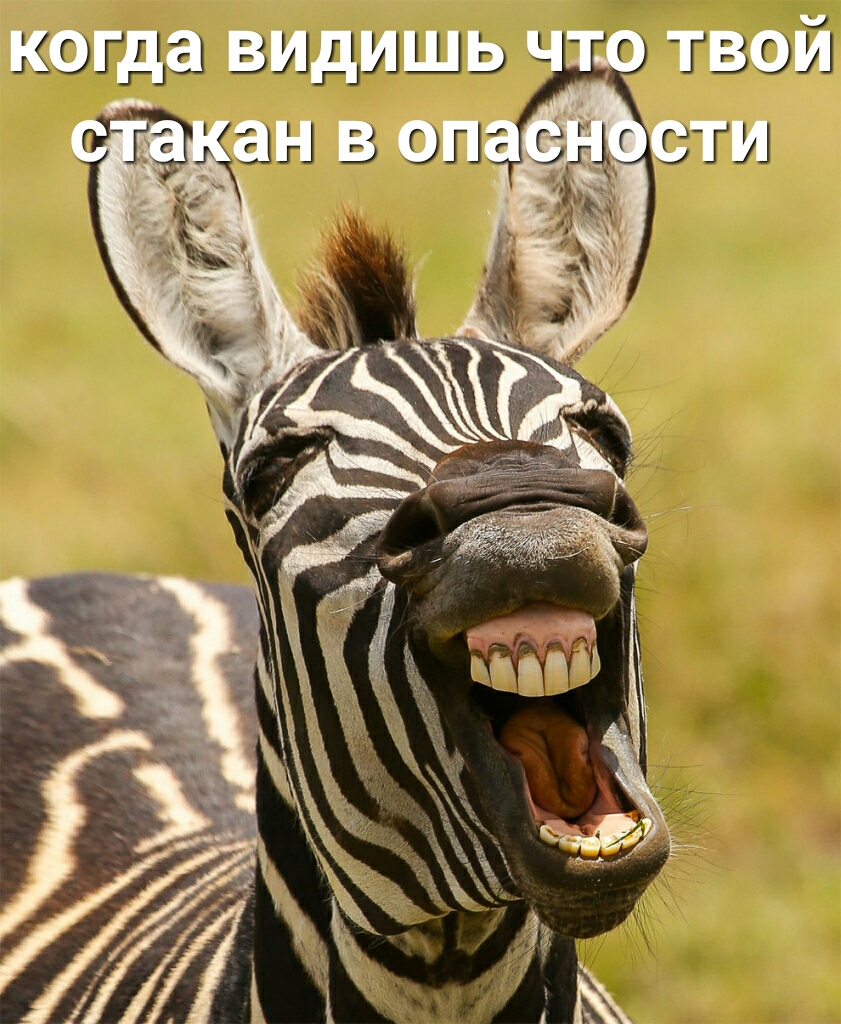 когда видишь что твой
