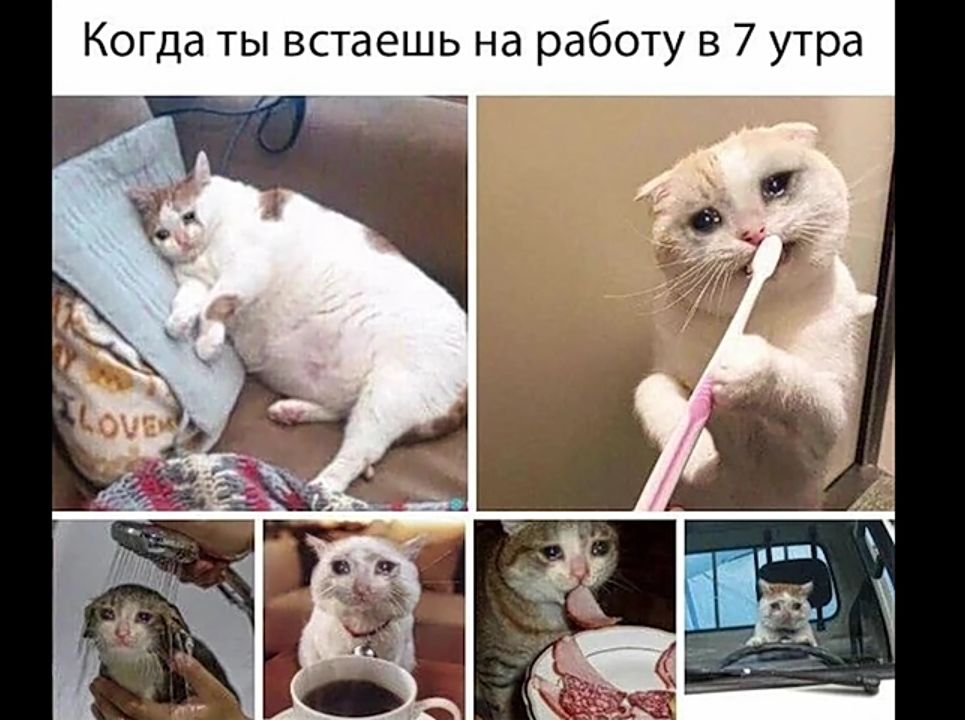 Когда ты встаешь на работу в 7 утра