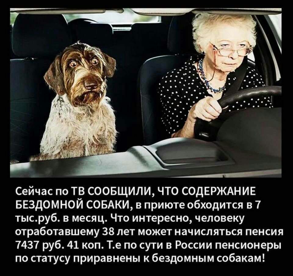 Сейчас по ТВ СООБЩИЛИ ЧТО СОДЕРЖАНИЕ БЕЗДОМНОЙ СОБАКИ в приюте обходится в 7 тысруб в месяц Что интересно человеку отработа вшему 38 лет может начисляться пенсия 7437 руб 41 коп Те по сути в России пенсионеры по статусу приравнены к бездомным собакам