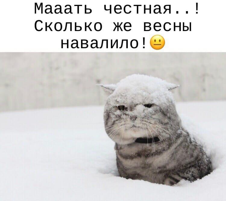Мааать честная Сколько же весны навалилоіі