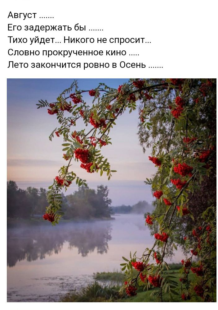 Август Его задержать бы Тихо уйдет Никого не спросит Словно прокрученное кино Лето закончится ровно в Осень
