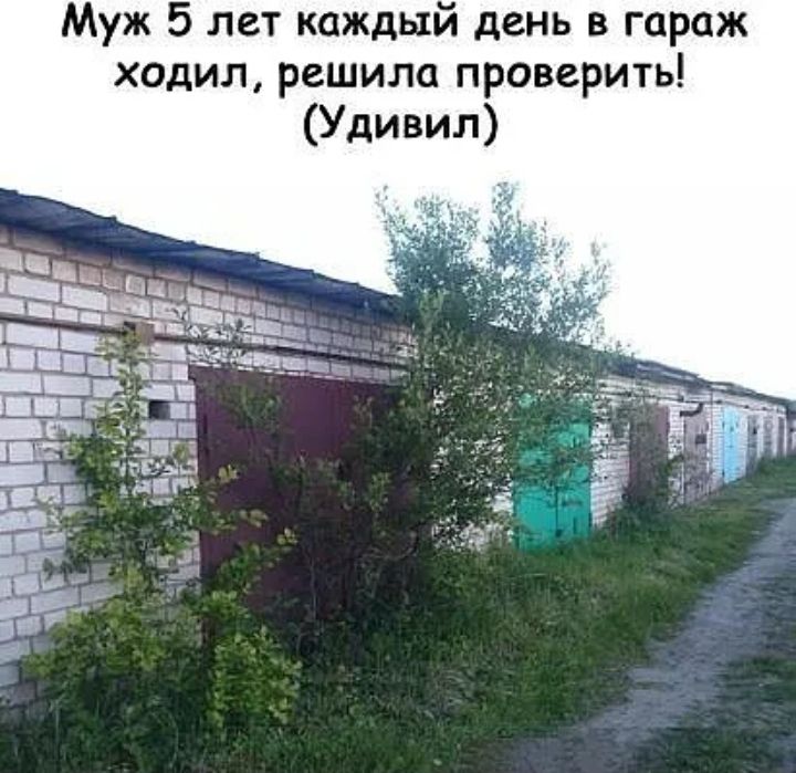 Муж 5 лет каждый день в гараж ходил решила проверить