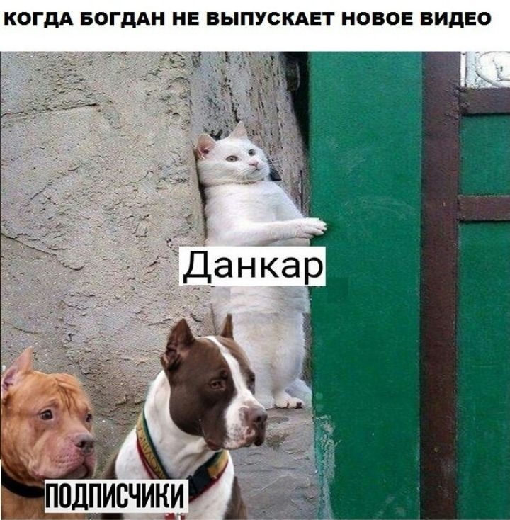 КОГДА БОГДАН НЕ ВЫПУСКАЕТ НОВОЕ ВИДЕО