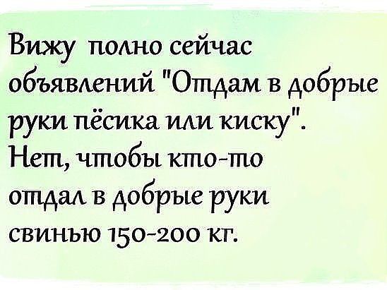 Вижу пошо сейчас объявдений Отдам в добрые руки пёсика иди киску Нет чтобы ктото отдал в добрые руки свинью 150200 кг