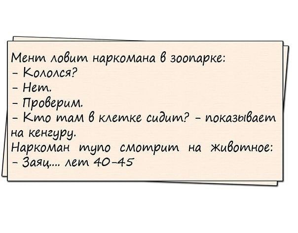 Мент Аобшм наркомокна 6 зоомрке Комюя Нем Проверим Кто там 6 кмидке сидит показывает на Кенгуру Наркомлн тупо смотрим на Животное Заяц мм 4045