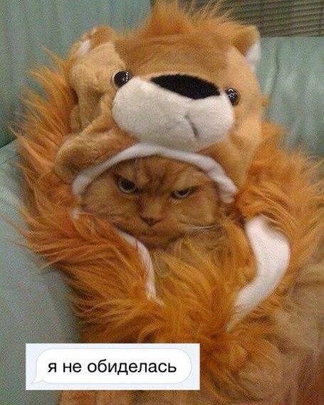 я не обиделась
