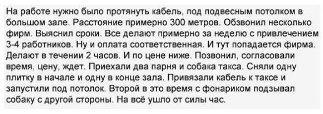 На работе нужно было протянуть кабель под подвесным потолком в большом зале Расстояние примерно 300 метров Обзвонил несколько фирм Выяснил сроки Все делают примерно за неделю с привлечением 3 4 работников Ну и оплата соответственная И тут попадается фирма Делают в течении 2 часов И по цене ниже Позвонил оогпаоовапи время цену ждет Приехали два парня и собака такса Сняли одну плитку в начале и одну