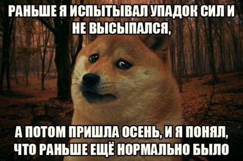 гдиьш и цепьЁЁітііппдпк сил и и вывыпдпеп 535353 А потом ЕЁИШПА ПБЕНЬ И Я ППШШ ЧП РМ ЕЩЁ 0РШШЫЮ БЫЛО