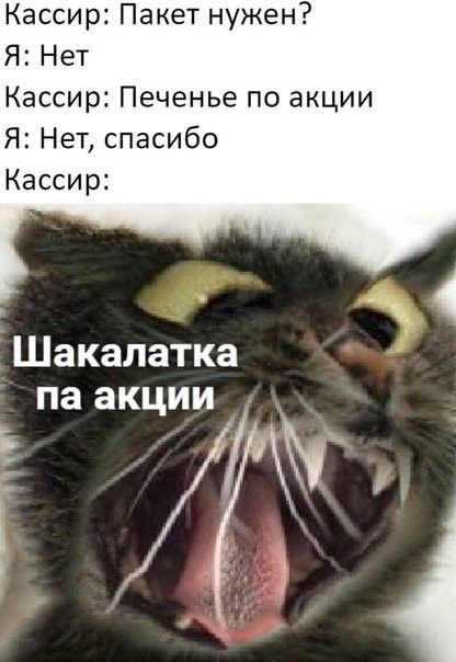 Кассир Пакет нужен Я Нет Кассир Печенье по акции Я Нет спасибо Кассир а Шакапатка па акции Е