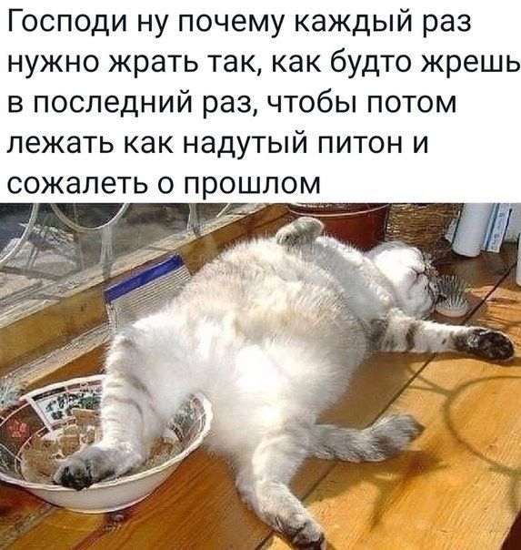 Господи ну почему каждый раз нужно жрать так как будто жрешь в последний раз чтобы потом лежать как надутый питон и сожалеть о прошлом __