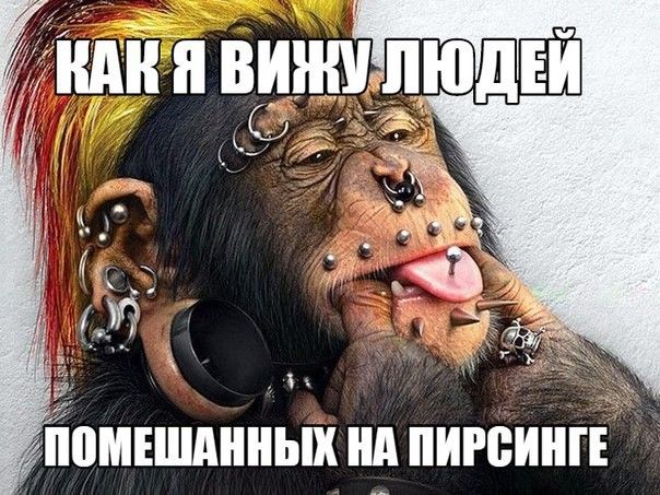 У ііііМЕШдііііЬііі іііі ПИРВіііііЕ