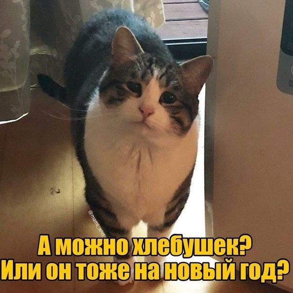 д моёцоЁпебшЁен ИЛИ он ТПЖВЁЗНОВЬіЙ Шд