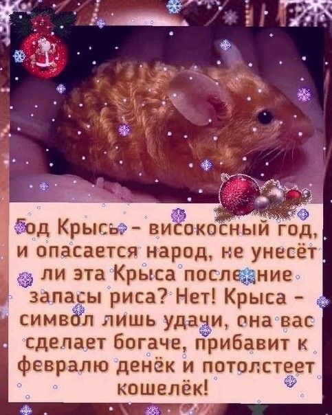 Од Крыпы виъЁёокоСНЫЙ год _ и опасается народ не унесёт ли эта Крыса посление запады риса Нет Крыса симвбул лишь уда и она вас сделает богаче прибавит к февралю денёк и потвлстеет кошелёк
