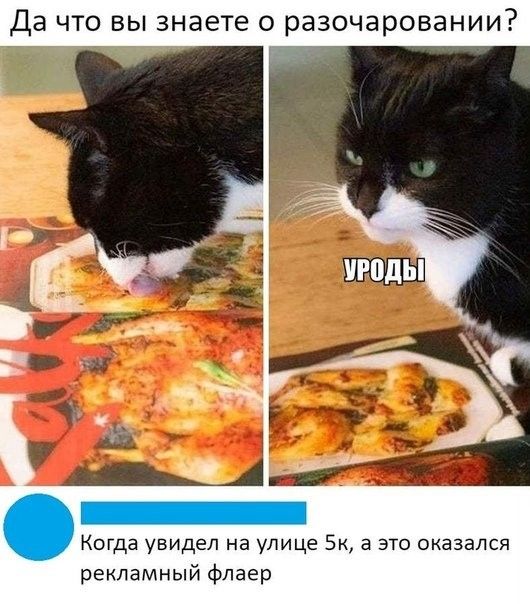 Да что вы знаете о разочаровании Когда увидел на улице Бк а это оказался рекламный флаер