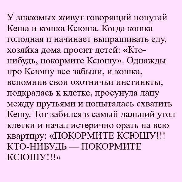 У знакомых живут говорящий попугай Кеша И кошка Ксюша Когда кошка голодная И начинает выпрашивать еду хозяйка Дома просит детей Кто нибудь покормите Ксюшу Однажды про Ксюшу все забыли и кошка вспомнив свои охотничьи инстинкты подкралась к клетке просунула лапу между прутьями и попыталась схватить Кешу Тот забился в самый дальний угол клетки и начал истерично орать на всю квартиру ПОКОРМИТЕ КСЮШУ К