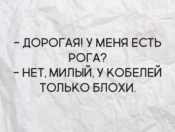 ДОРОГАЯ у МЕНЯ ЕСТЬ РОГА НЕТ милый у КОБЕПЕЙ только БПОХИ