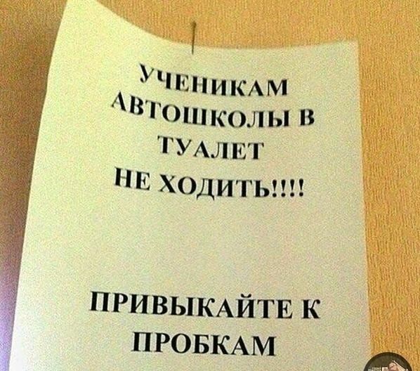 і Ни КАМ В Гош кол ы в ГУАл ит Е Ходитып УЧ ПРИВЫКАЙТЕ к ПРОБКАМ