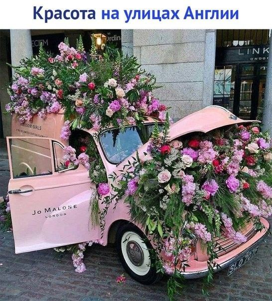 и и т_ н А х а Ц У а н а т 0 с а в К