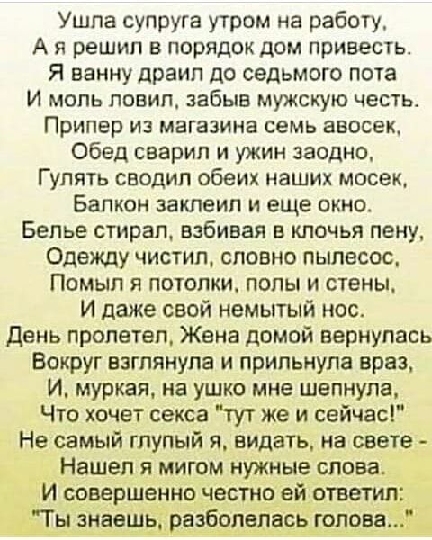 Ушла супруга утром на работу А я решил в порядок дом привесть Я ванну драип до седьмого пота И моль ловил забыв мужскую честь Припер из магазина семь авосек Обед сварил и ужин заодно Гулять сводил обеих наших мосек Балкон заклеил и еще окно Белье стирал взбивая в клочья пену Одежду чистил словно пылесос Помып я потолки полы и стены И даже свой немытый нос День пролетел Жена домой вернулась Вокруг 