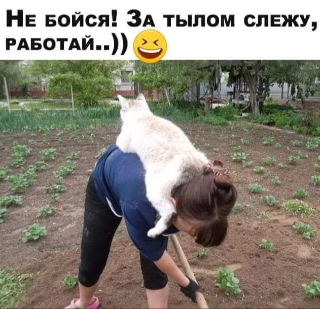 НЕ Бойся ЗА тылом слежу РАБОТАЙ _9