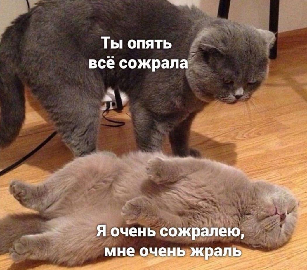 Ты опять _всё сожрал