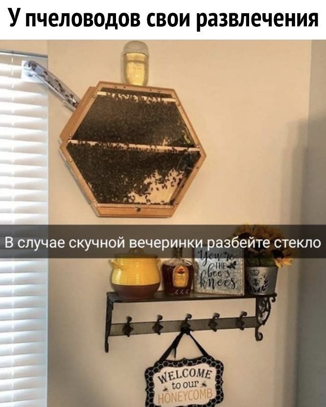 У ПЧЕЛОВОДОВ СВОИ развлечения