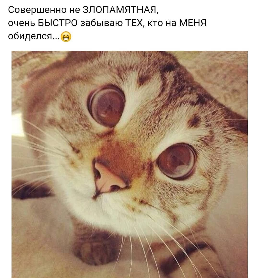 Совершенно не ЗЛОПАМЯТНАЯ очень БЫСТРО забываю ТЕХ кто на МЕНЯ обиделсяе