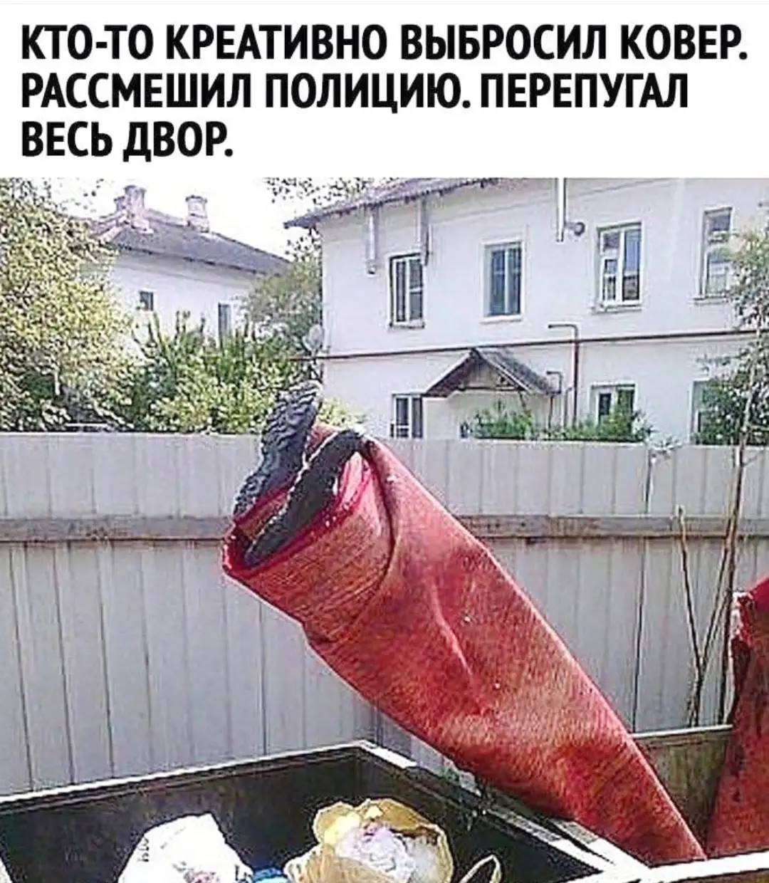 КТО ТО КРЕАТИВНО ВЫБРОСИЛ КОВЕР РАССМЕШИЛ ПОЛИЦИЮ ПЕРЕПУГАЛ ВЕСЬ дВОР
