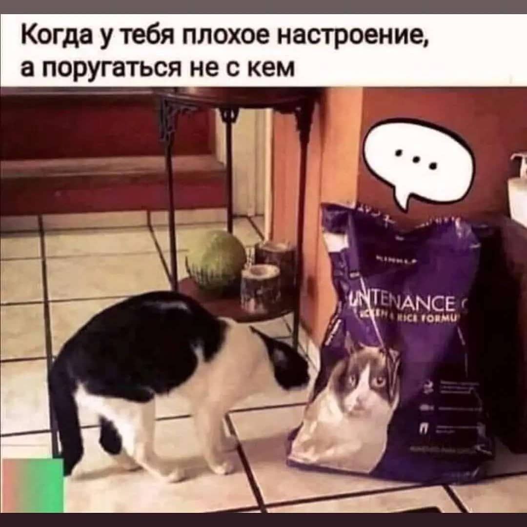 Когда у тебя плохое настроение а поругаться не с кем