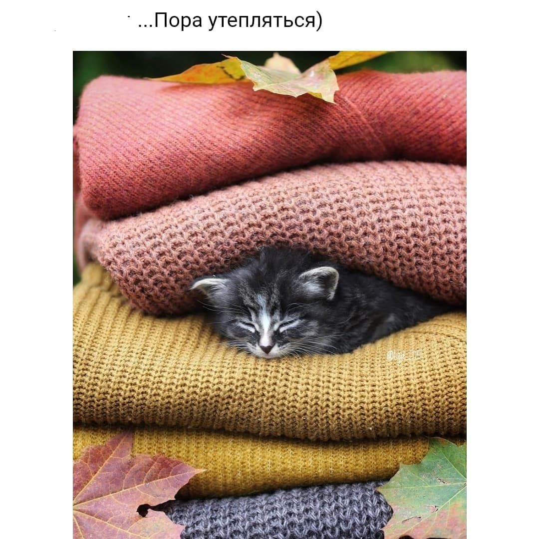 Пора утепляться