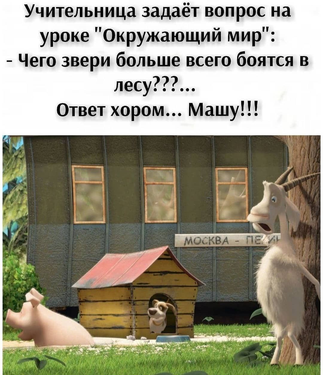 Учительница задаёт вопрос на уроке Окружающий мир Чего звери больше всего боятся в лесу Ответ хором Машу