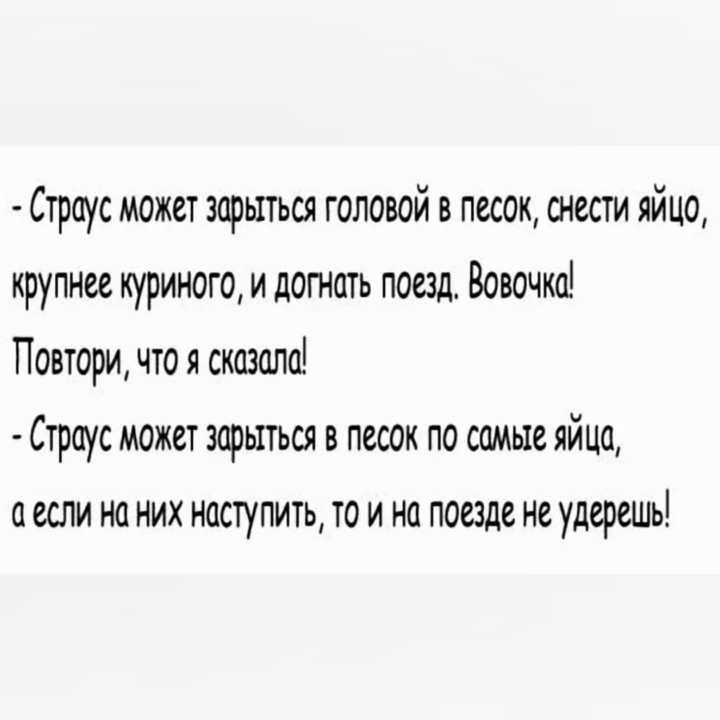 Страус может зарыться головой в песок снести яйцо крупнее куриного и догнать поезд Вовочка Повтори что я сказала Страус может зарыться в песок по самые яйца а если на них наступить то и на поезде не удерешь