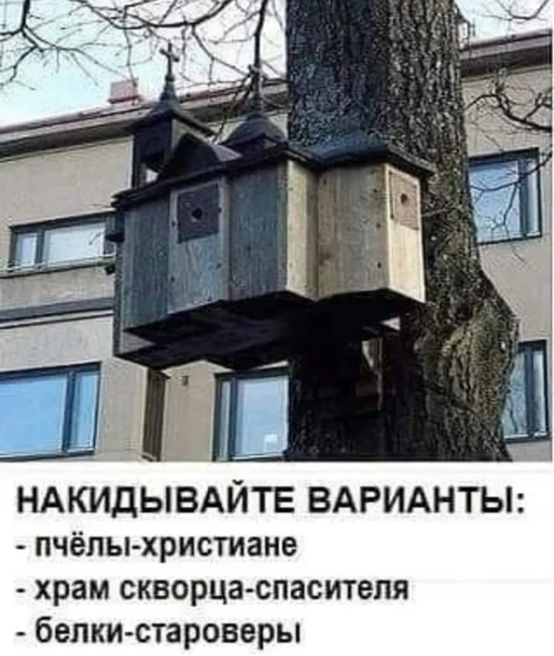 НАКИДЫВАЙТЕ ВАРИАНТЫ пчёлы христиане храм скворца спасителя белкистароверы