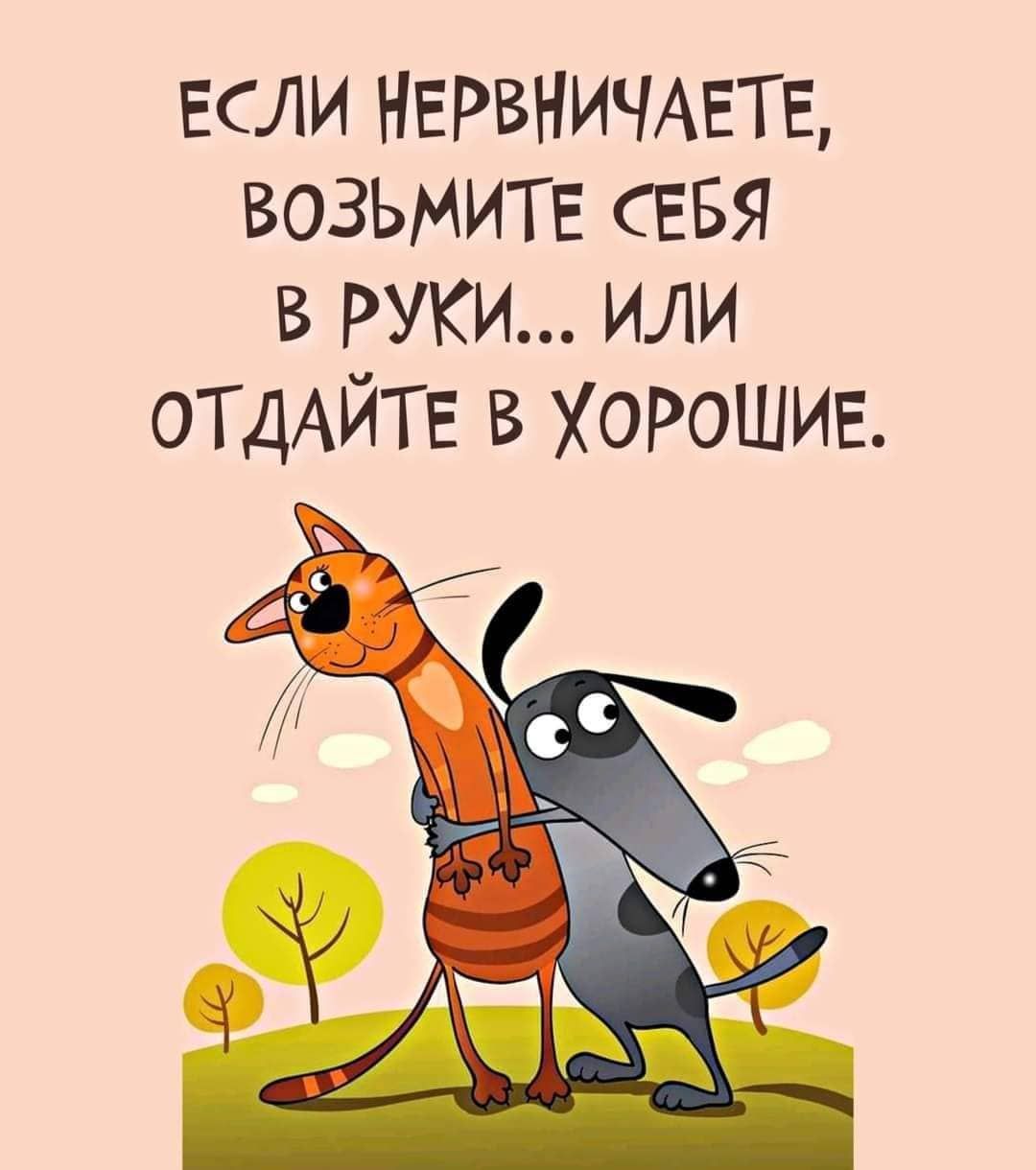 ЕСЛИ НЕРВНИЧАЕТЕ ВОЗЬМИТЕ СЕБЯ в РУКИ или ОТДАЙТЕ в ХОРОШИЕ