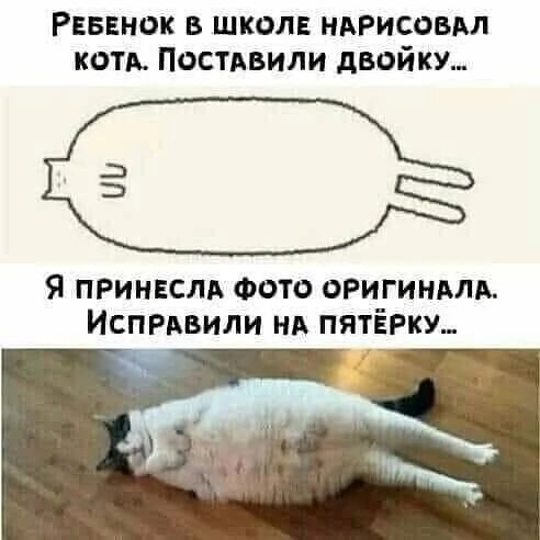 Реввнок в школе НАРИСОБАП коты Постдвили двойку Я принеслд Фета оригиндм Испрдвили нд пятёрку