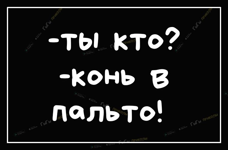 тьпкто конь в пальто