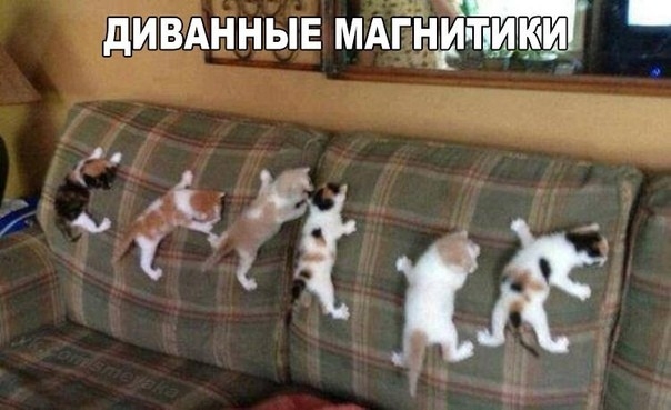 дИЁЭННЬЕ Мёд
