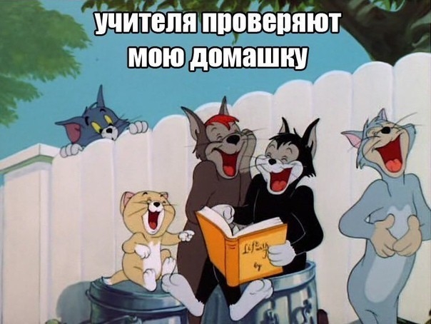 вёйяют читыін піо