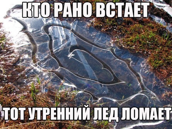 ито тин претит __ 7 15 Ё 2 зтотшънндй ііЕд лимит _ т