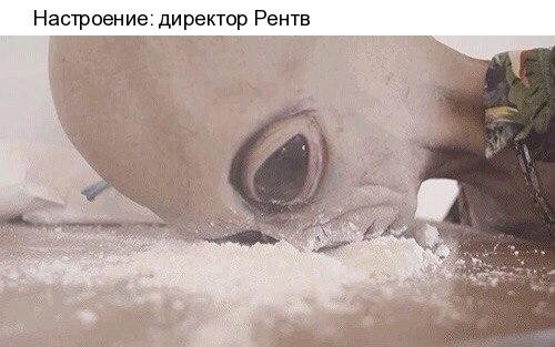 Настроение директор Рентв