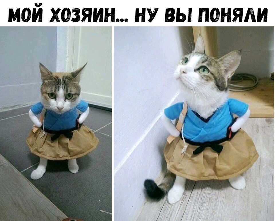 мой хозяин ну вы поняли