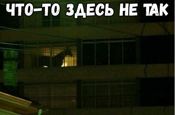 ЧТ О ТО ЗДЕСЬ НЕ ШК _ МТ