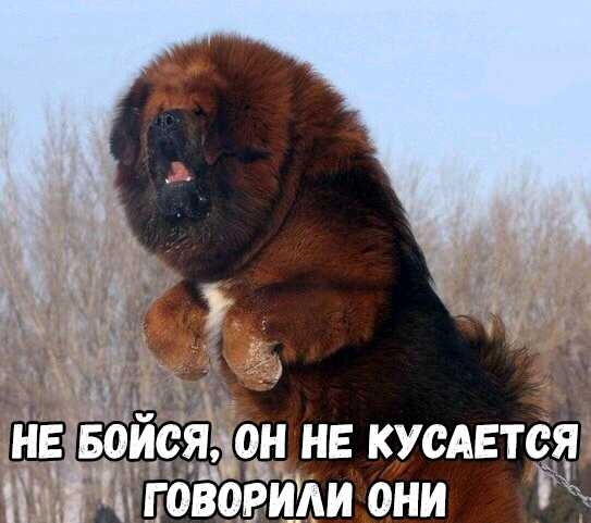 оннв кусдвтся РИ они